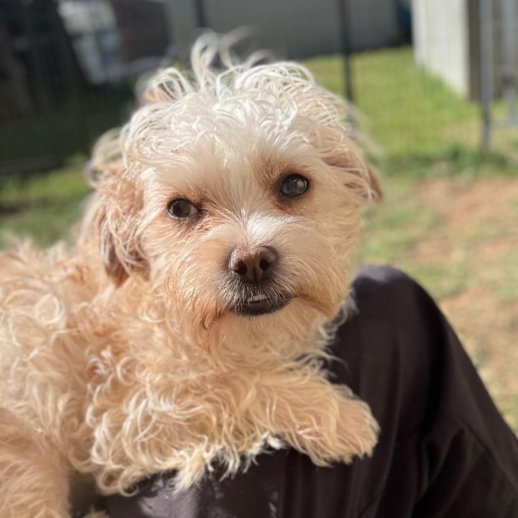 Samus — thumbnail 5