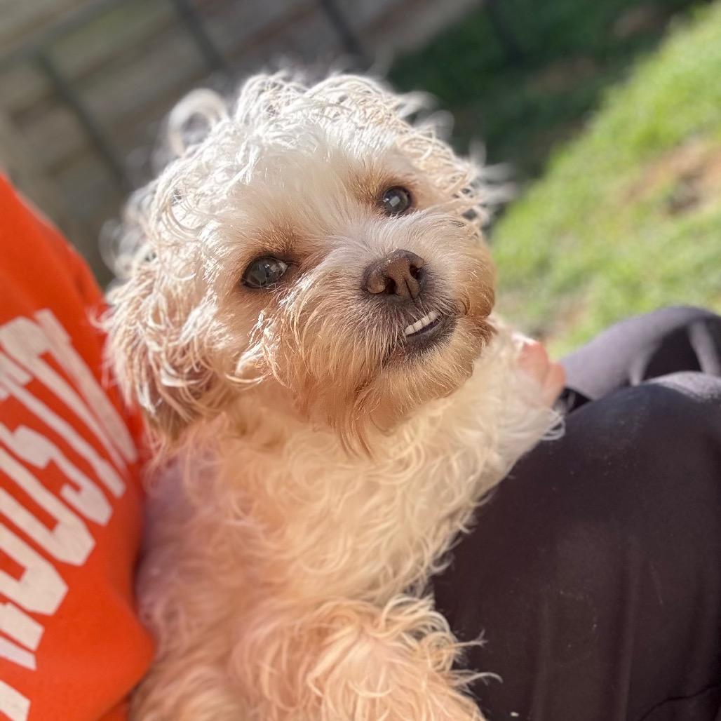 Samus — thumbnail 6