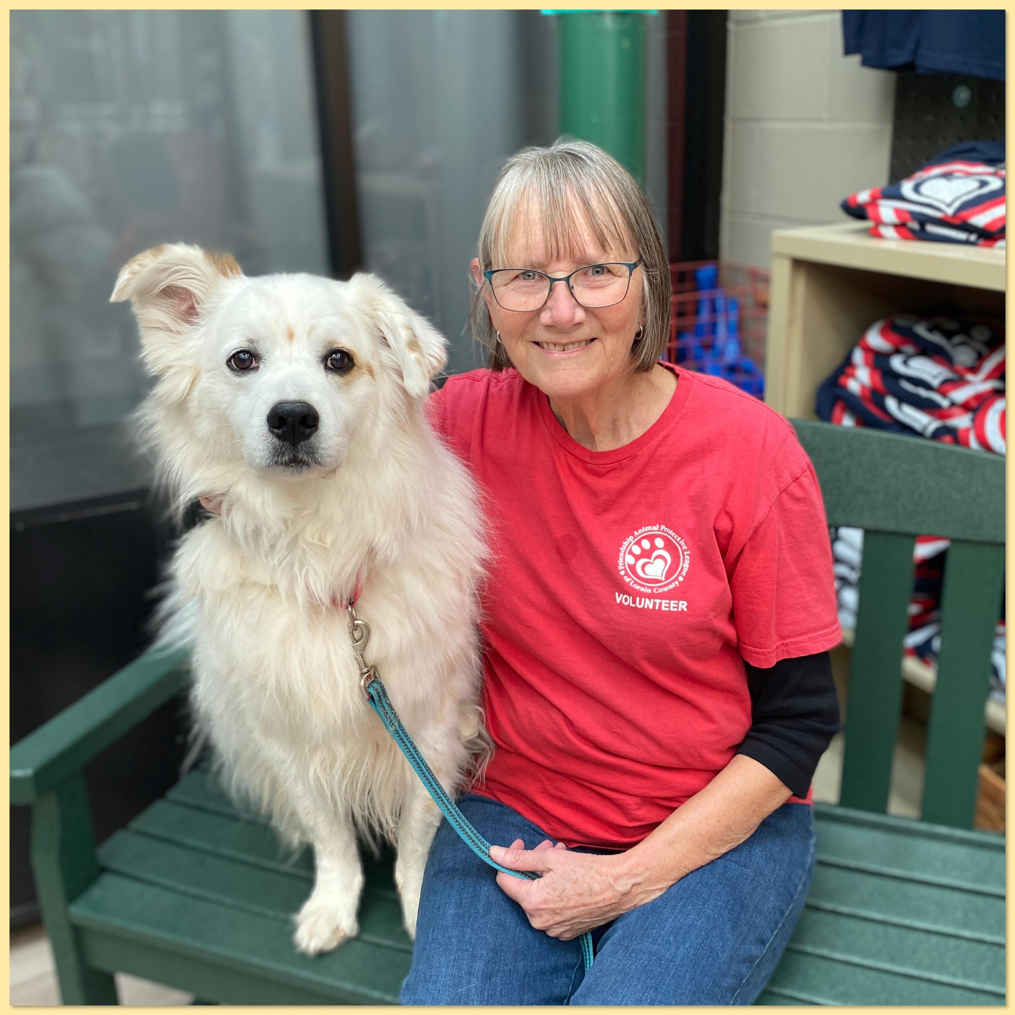 Coco , a Adoptable mixed breed in Elyria, OH image 1/4