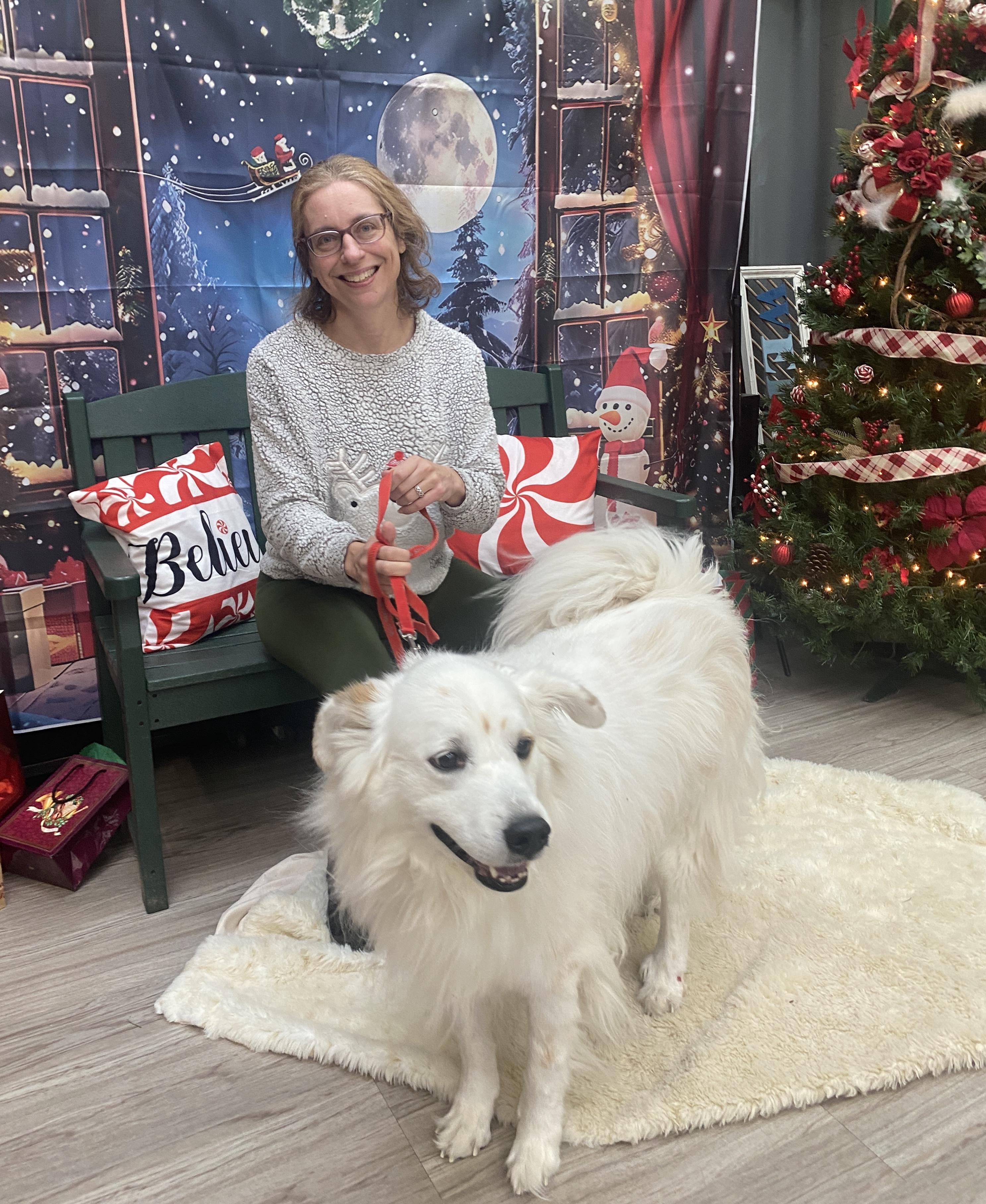 Coco, a Adoptable mixed breed in Elyria, OH image 2/3