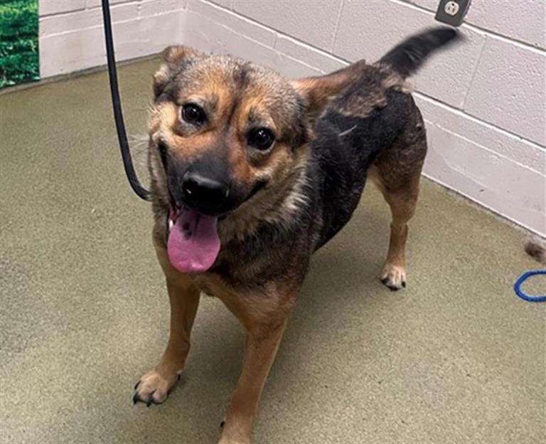 SAVE ME PLEASE! DANIKA - ID#A543325