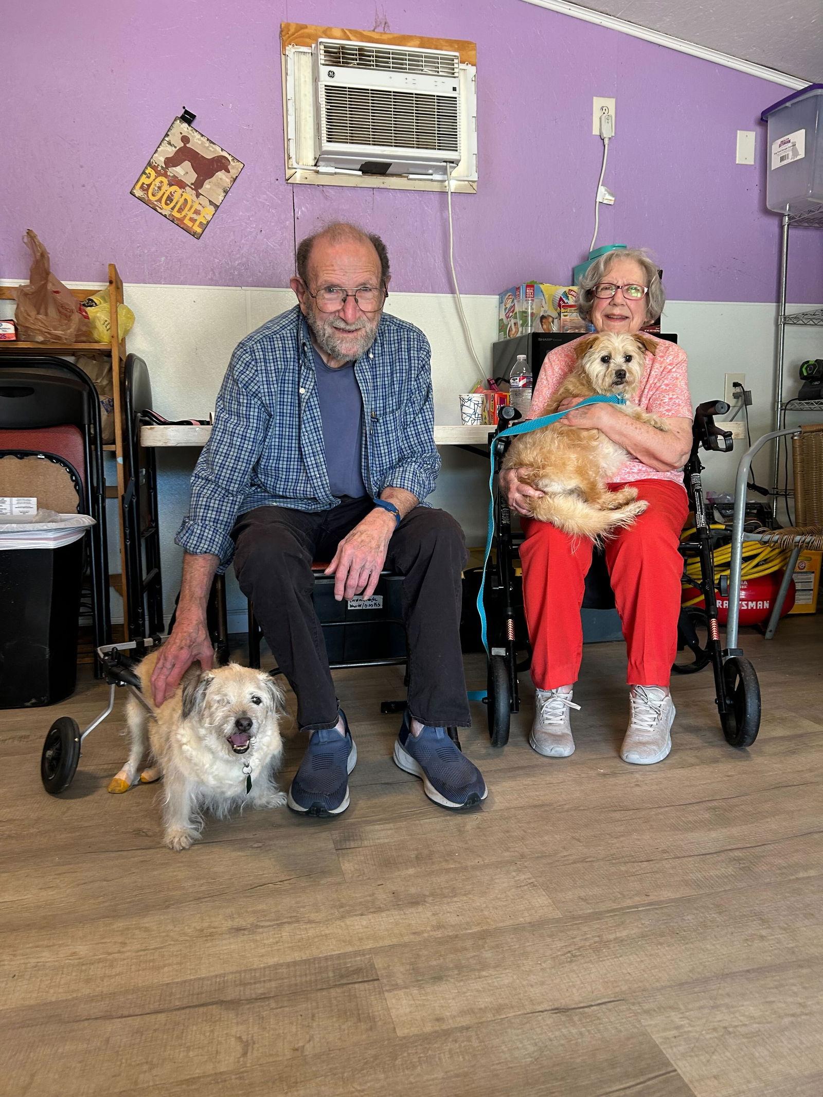 Enlarge Rosa Jan 25, a Adopted mixed breed in Pacolet, SC image 3/3