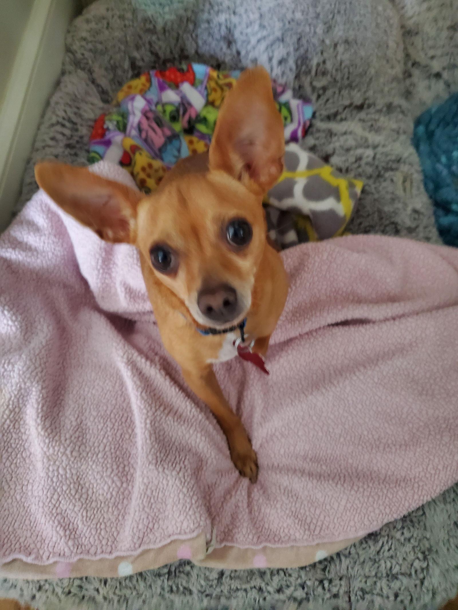 Bubba Gatlin — thumbnail 2