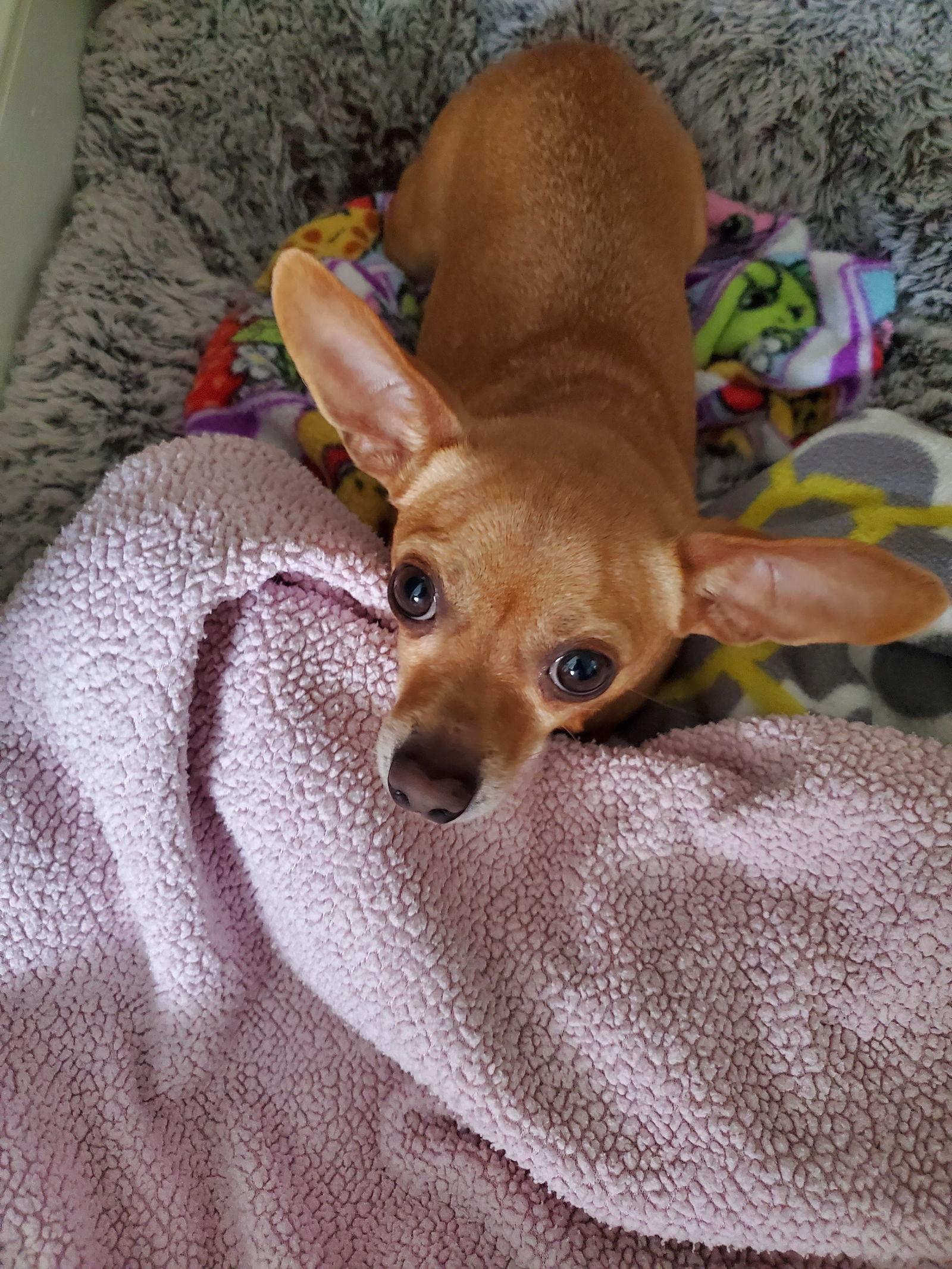 Bubba Gatlin — thumbnail 3