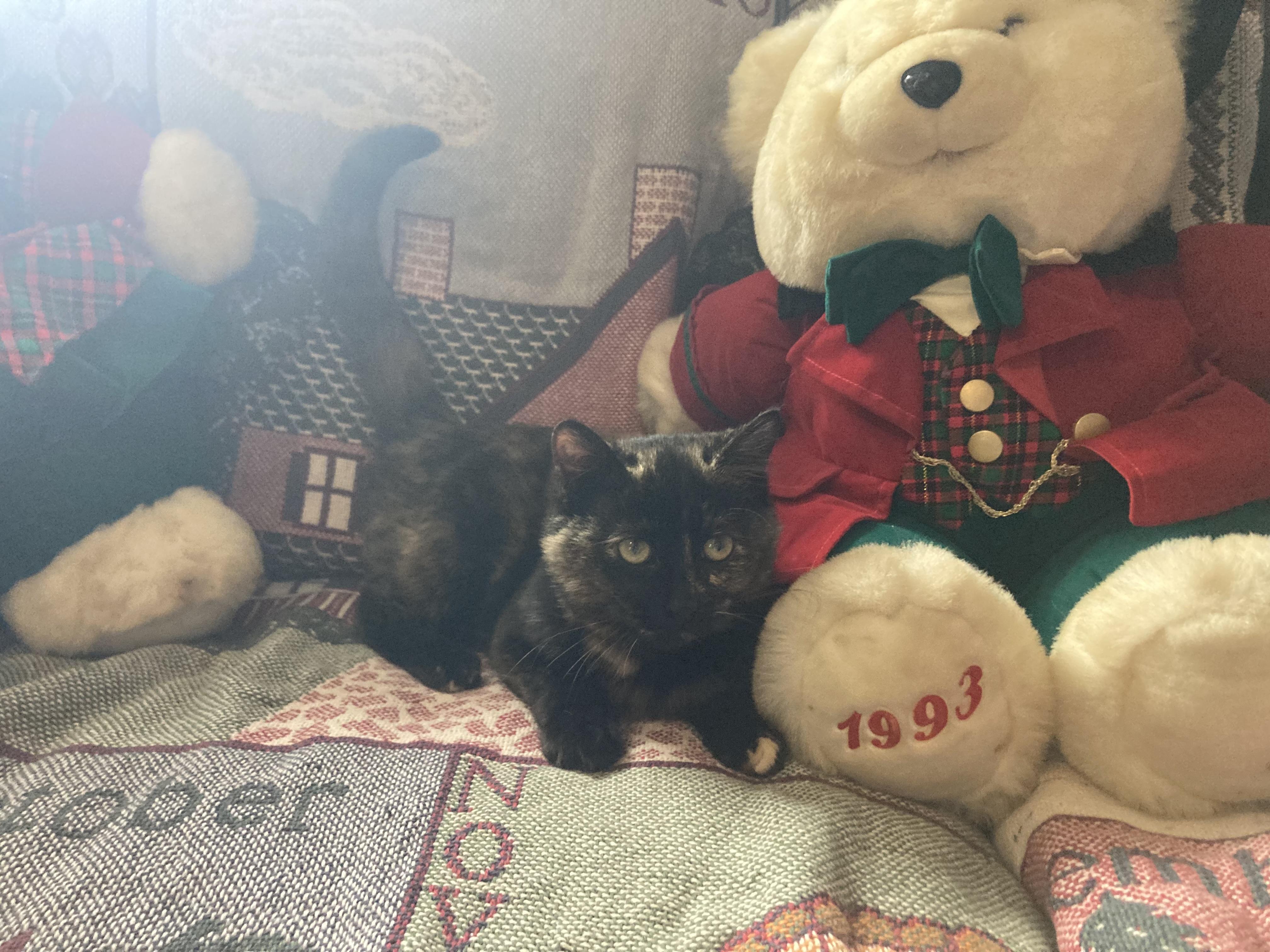 Callie Jane thumbnail 2