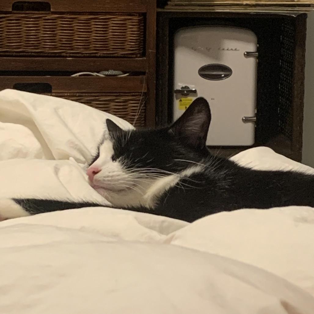 Glory 2 — thumbnail 4