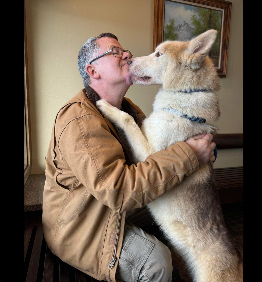 Enlarge Loyal Lokie, a Adoptable mixed breed in Roseburg, OR image 6/6