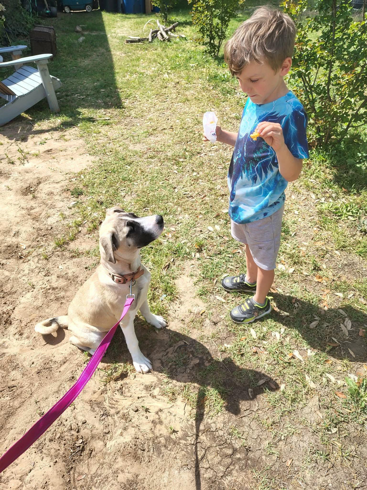 Enlarge Mari - CS, a ADOPTABLE Mixed Breed in Columbia, MD image 4/5