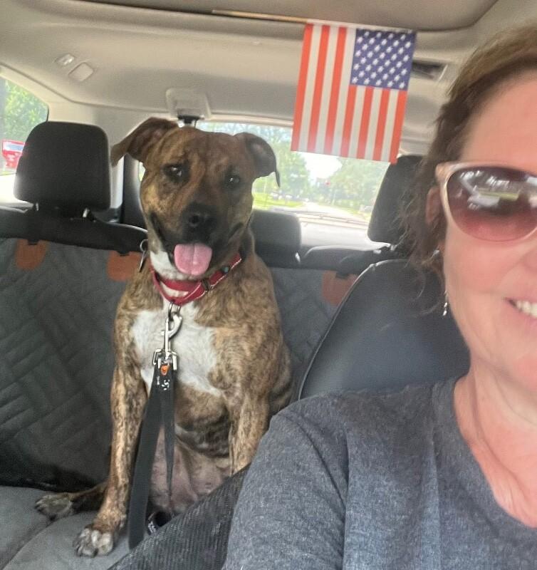 Ansley the fetch queen 5