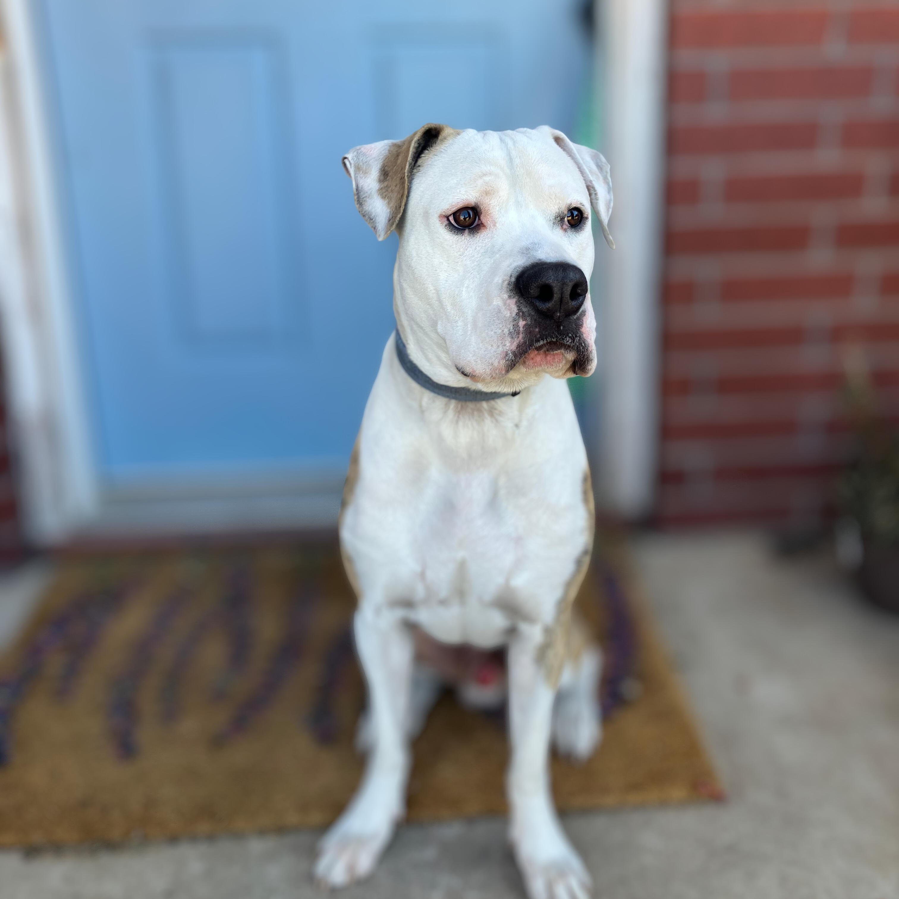 Waylon — thumbnail 4