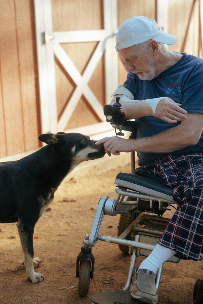 Piper (Pipper), a Adoptable mixed breed in Bonita, CA image 5/6