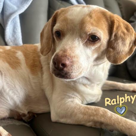 Ralphy