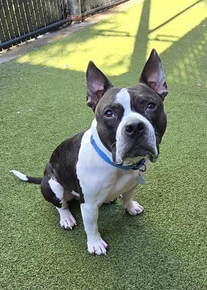 Creed — thumbnail 2