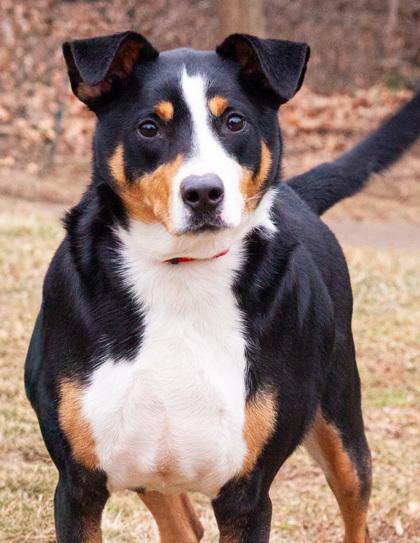 Butch Fka Zaboomafoo thumbnail 2