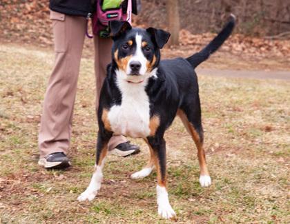 Butch Fka Zaboomafoo thumbnail 3