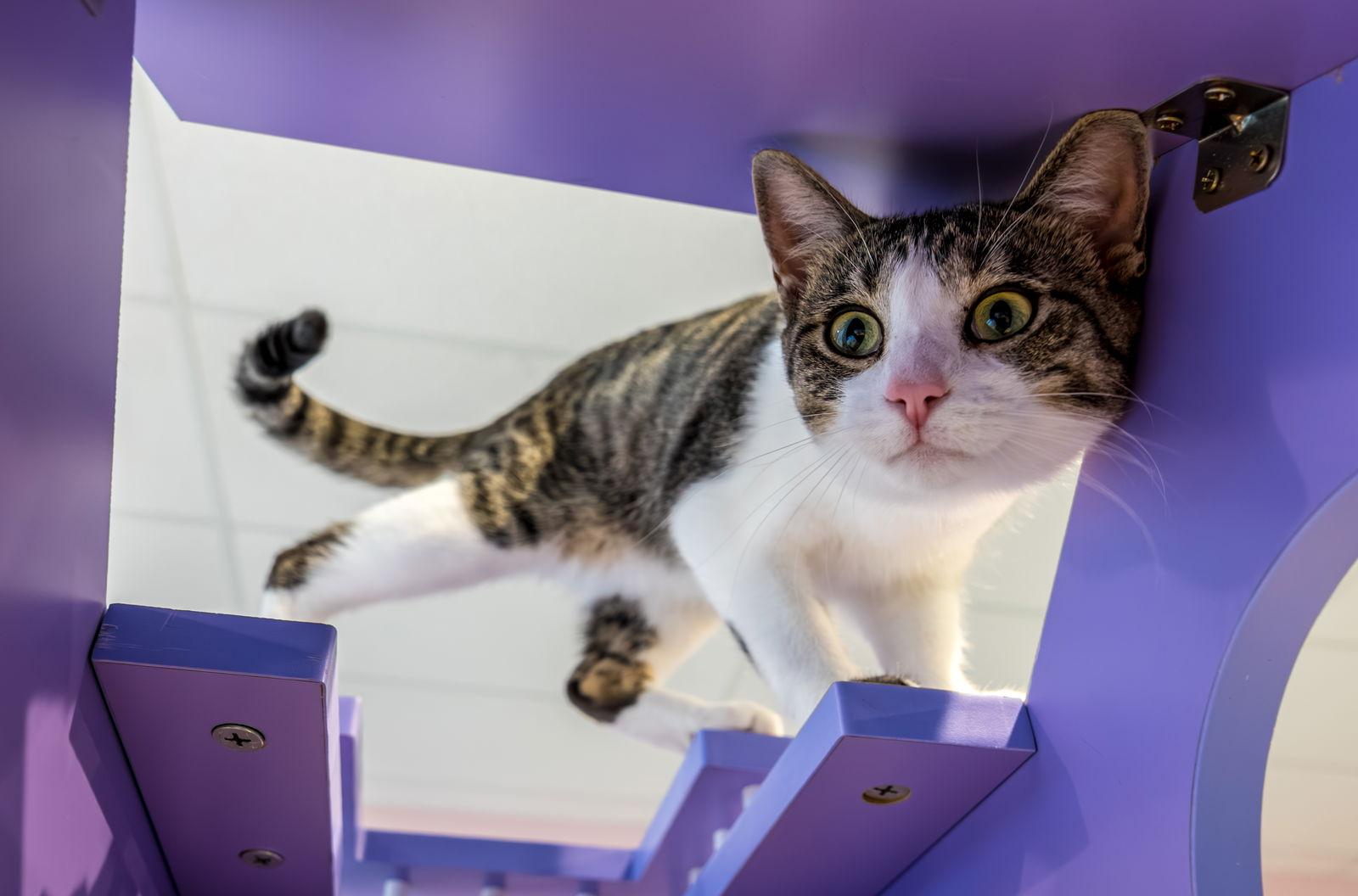 Dana  Kbc thumbnail 3