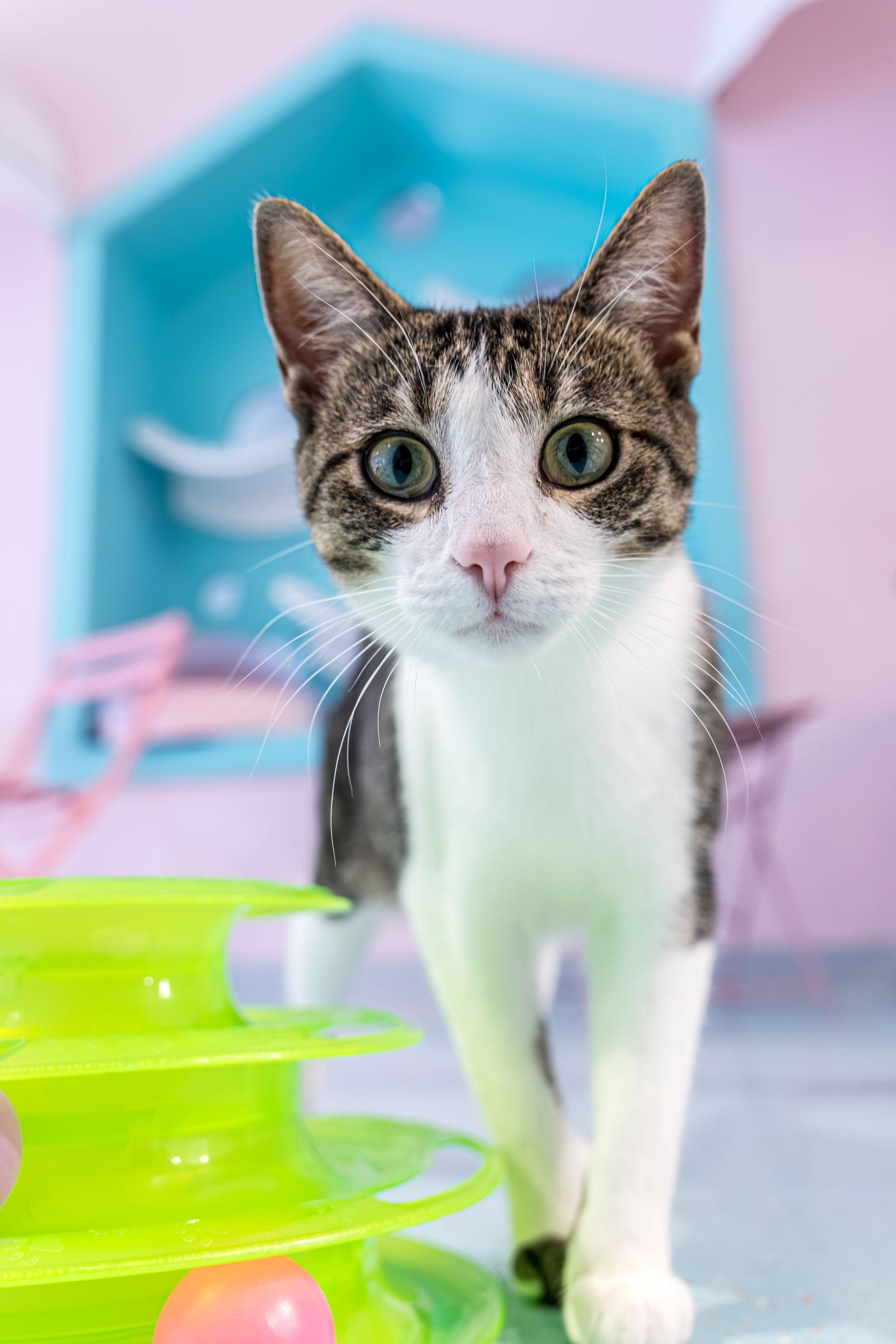 Dana  Kbc thumbnail 4