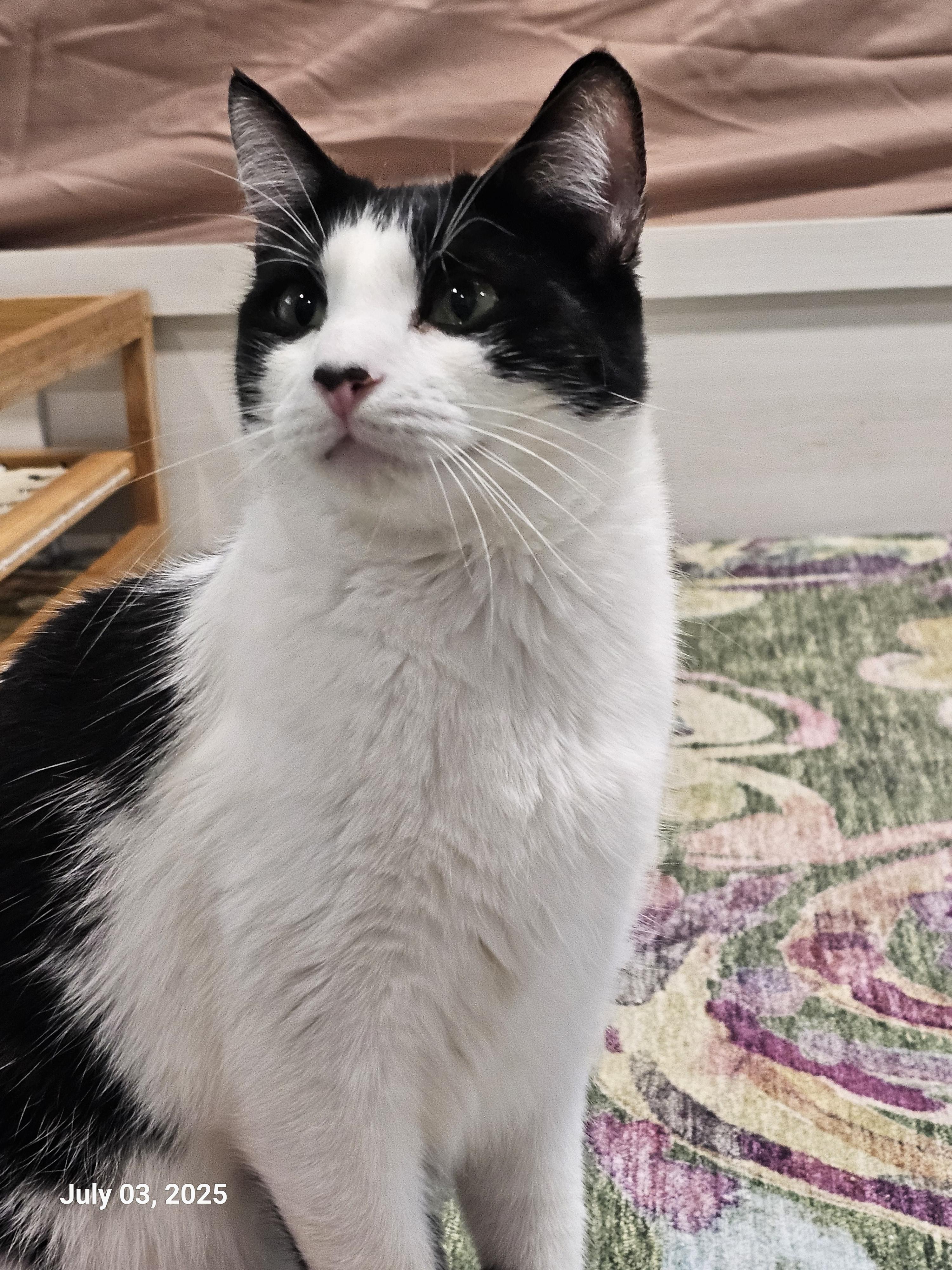 McSteamy — thumbnail 3