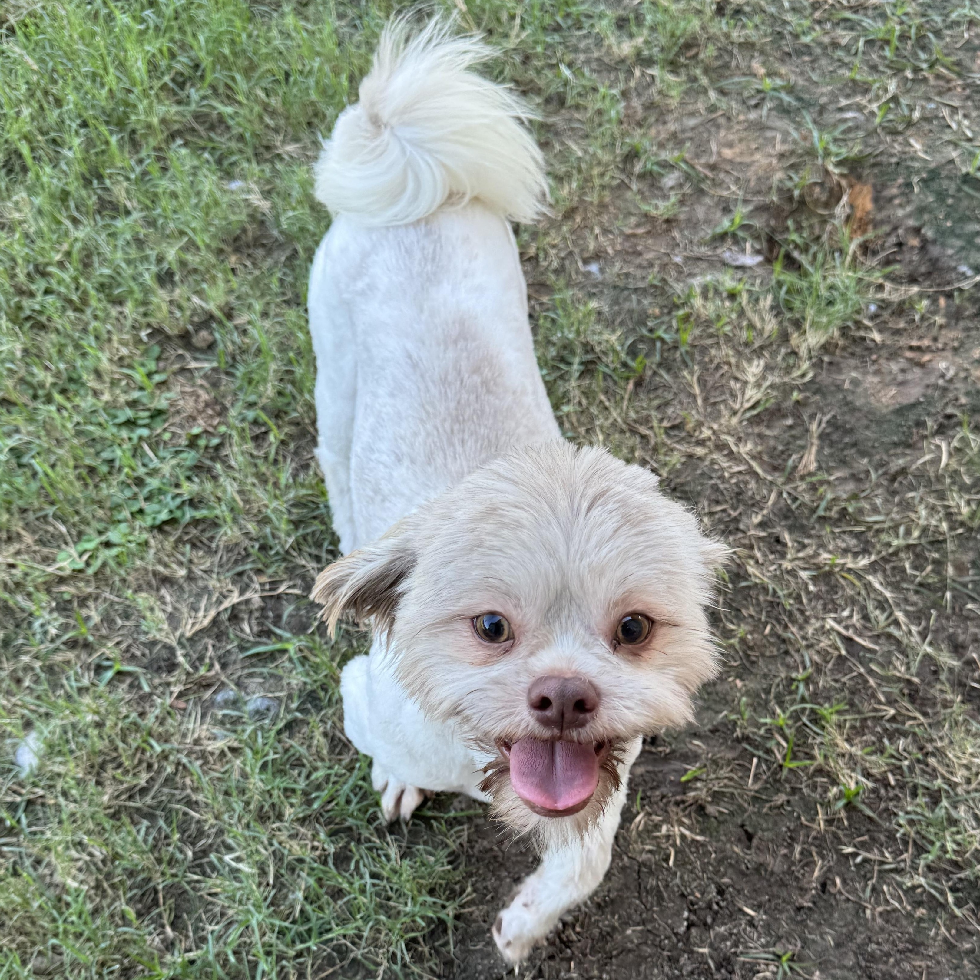 Teddy photo
