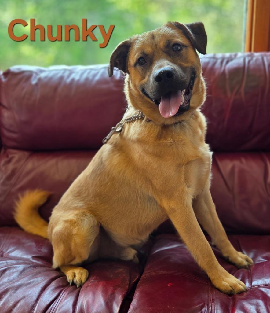Chunky photo