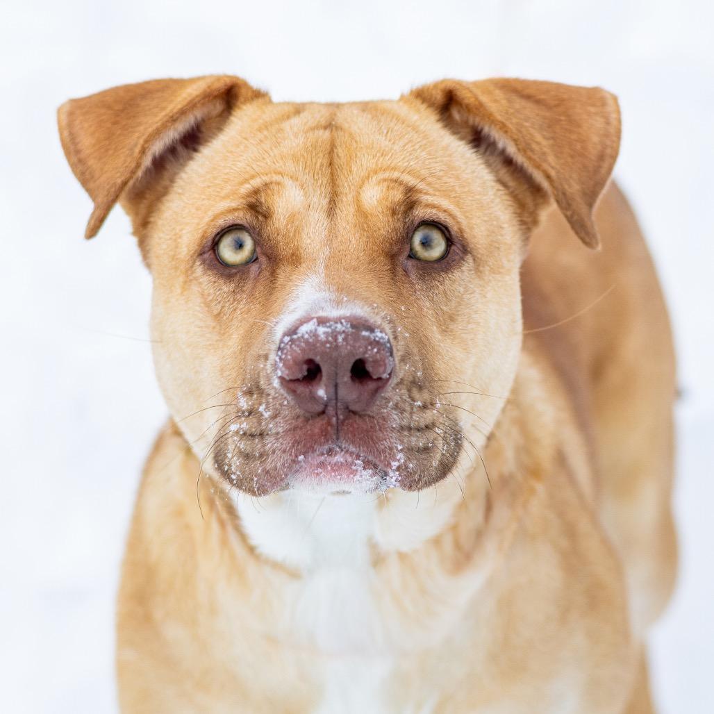 Bella — thumbnail 3