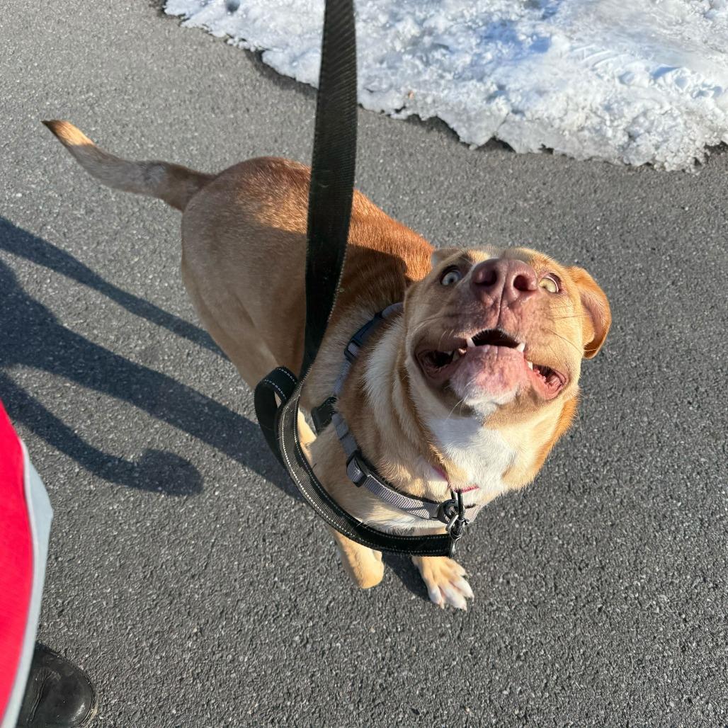 Bella — thumbnail 4