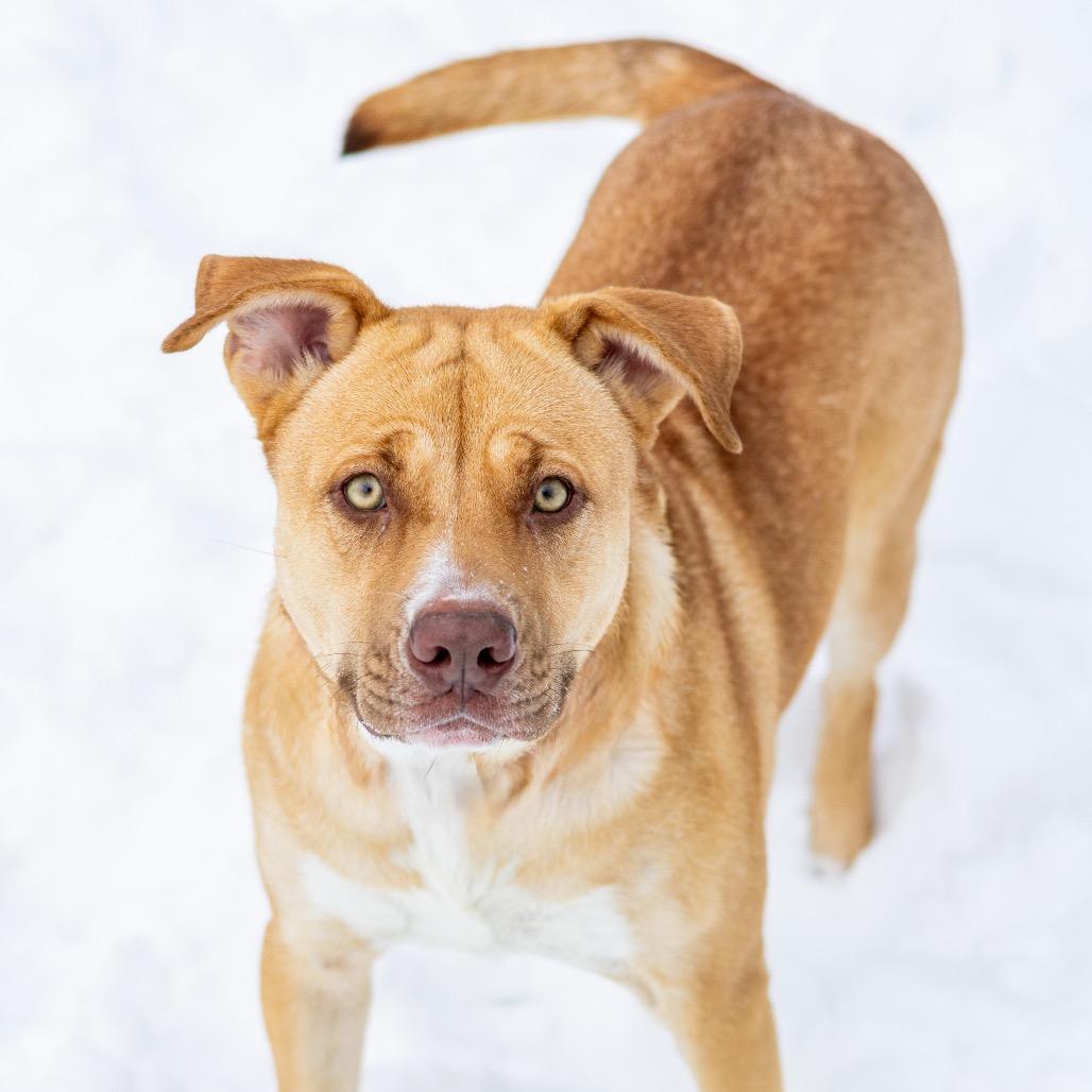 Bella — thumbnail 5