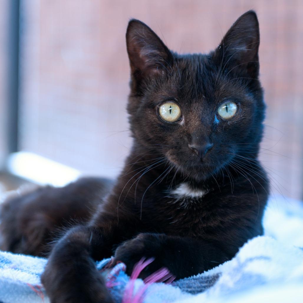 Cubby — thumbnail 2