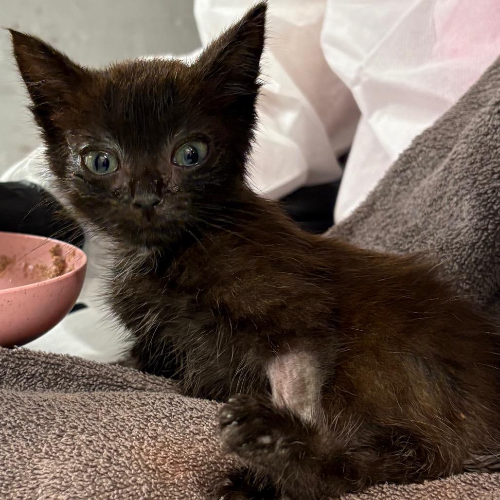 Cubby — thumbnail 4