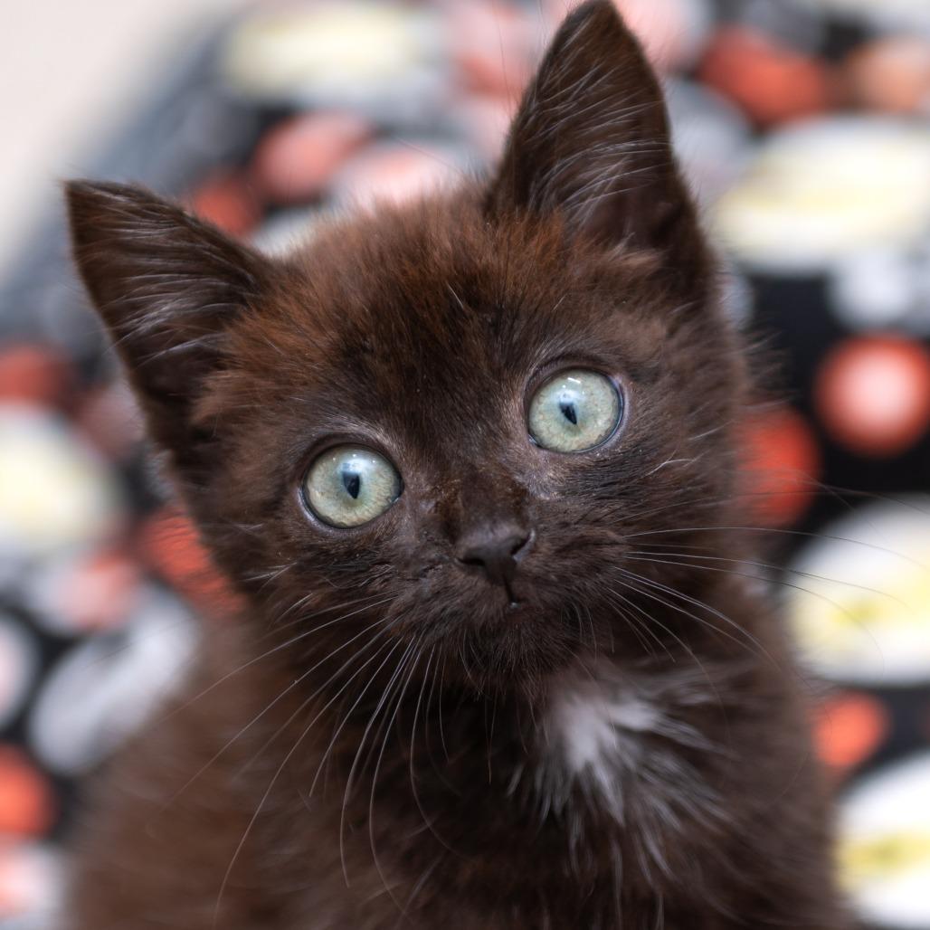 Cubby — thumbnail 5