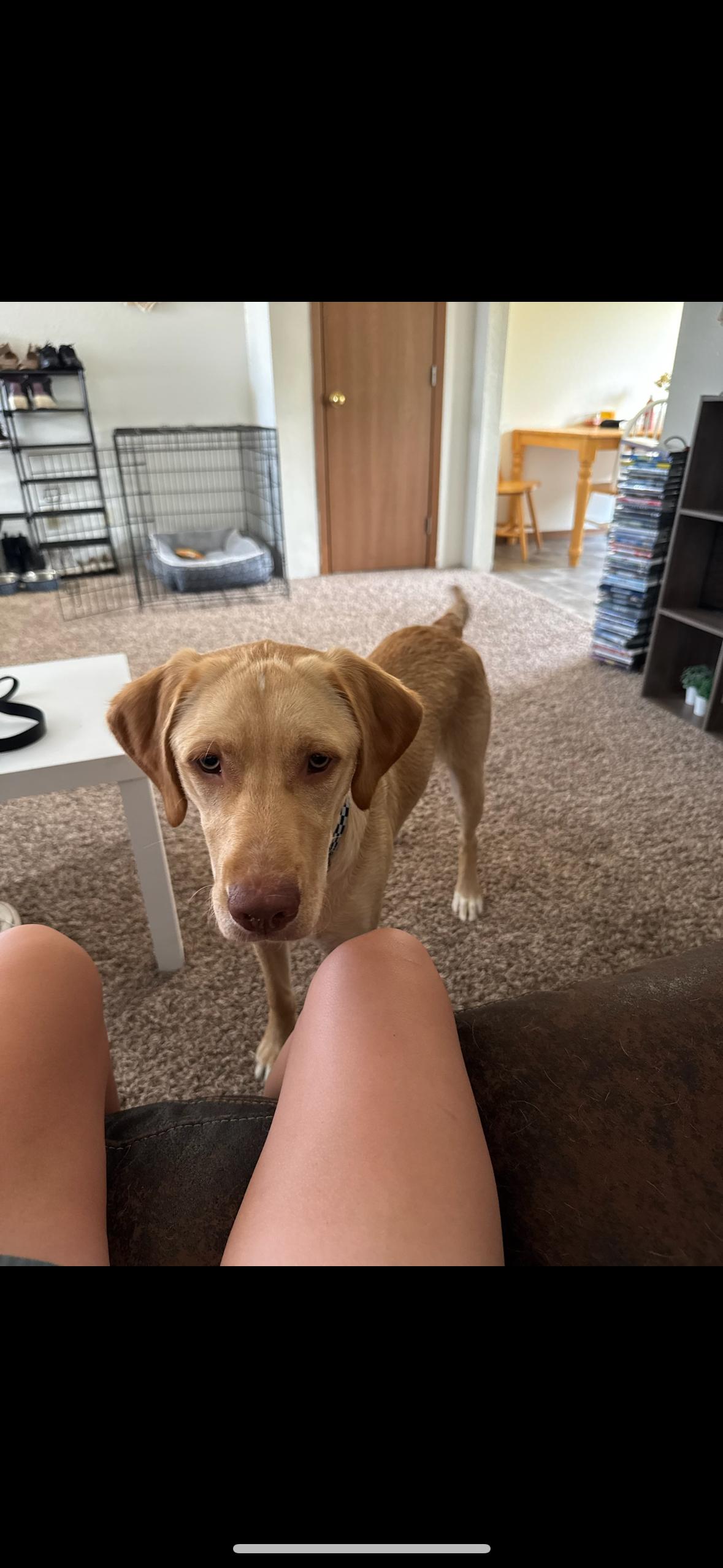 Cooper