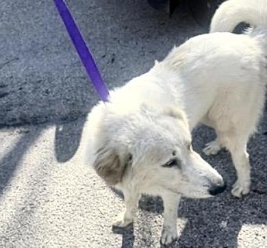 A650380 — thumbnail 2