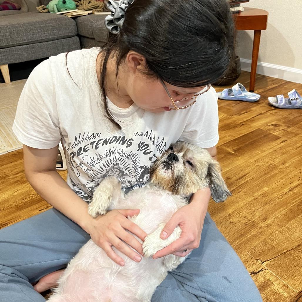 Shaggy, a Adoptable Mixed Breed in San Francisco, CA image 3/5