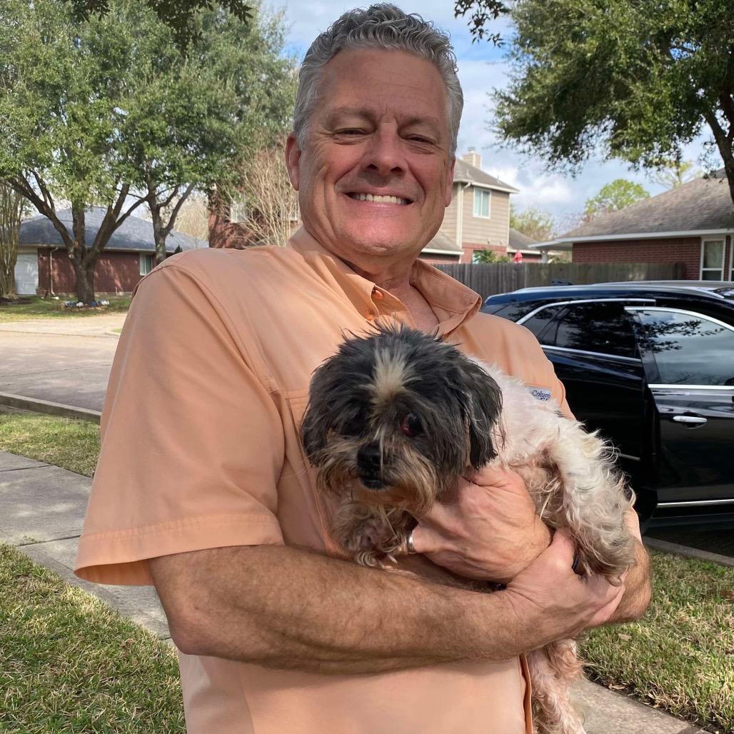 Willow Rose, Adoptable, Senior Female Shih Tzu.