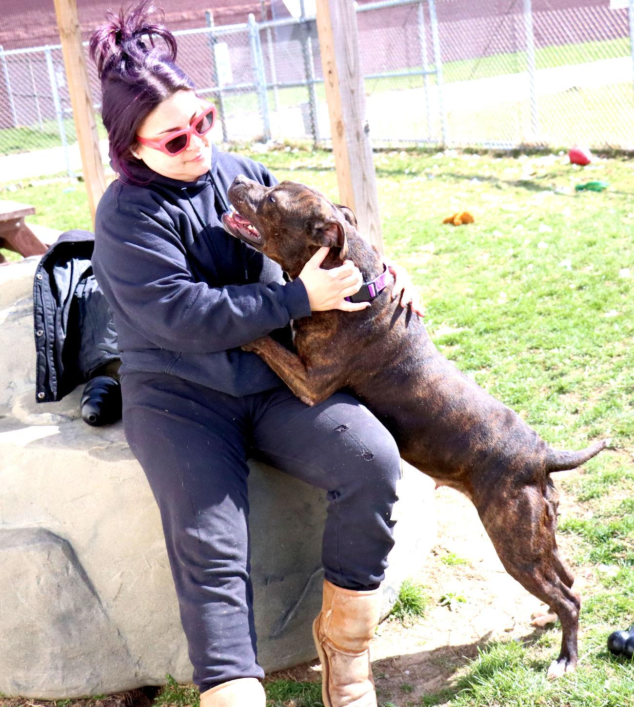 Estelle, a Adoptable mixed breed in Euclid, OH image 6/6