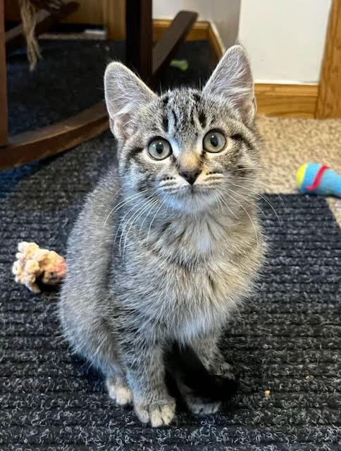 Priscilla and Merida