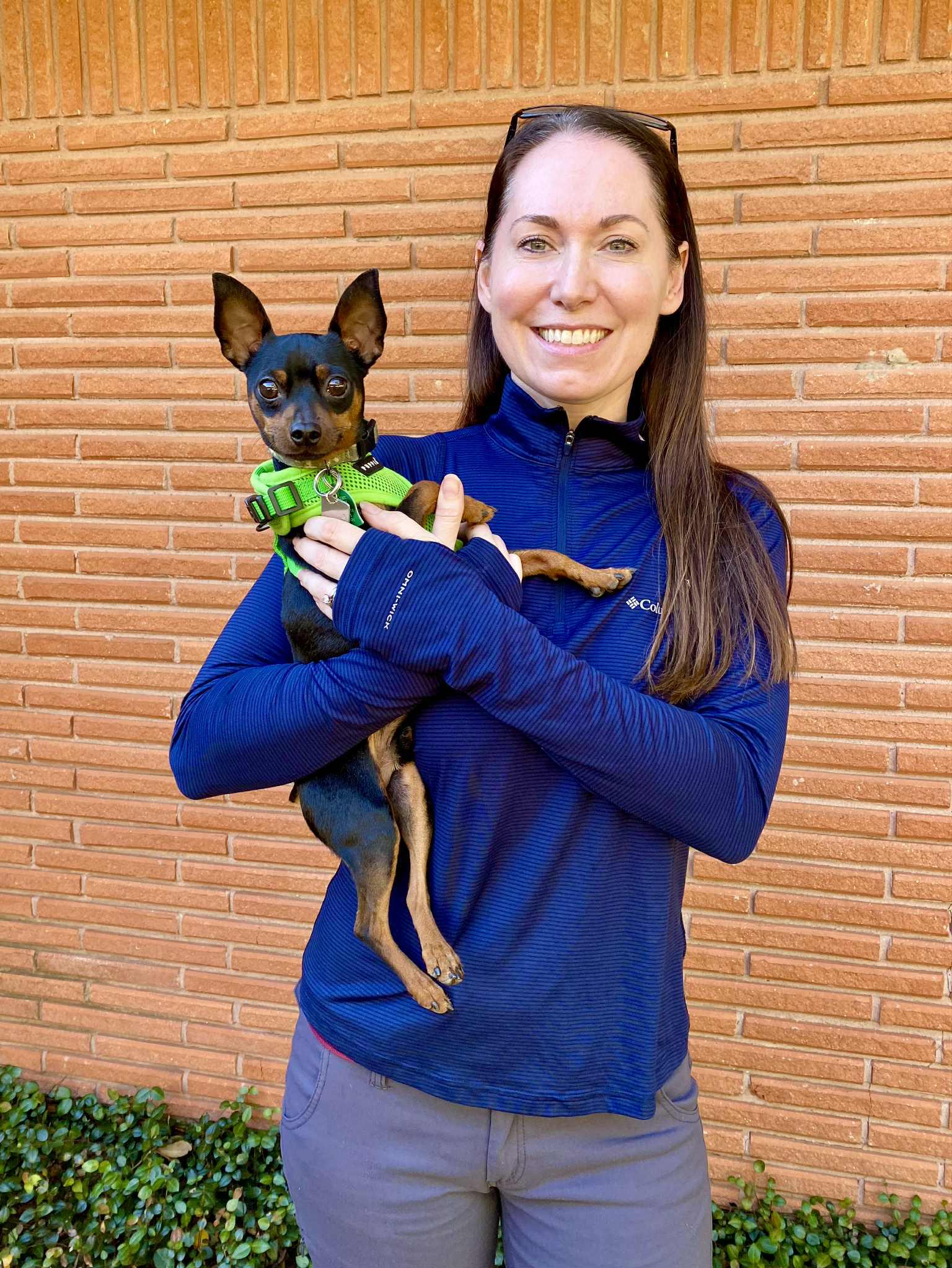 Thor - ADOPTED!, a Adoptable Miniature Pinscher in Houston, TX image 2/6