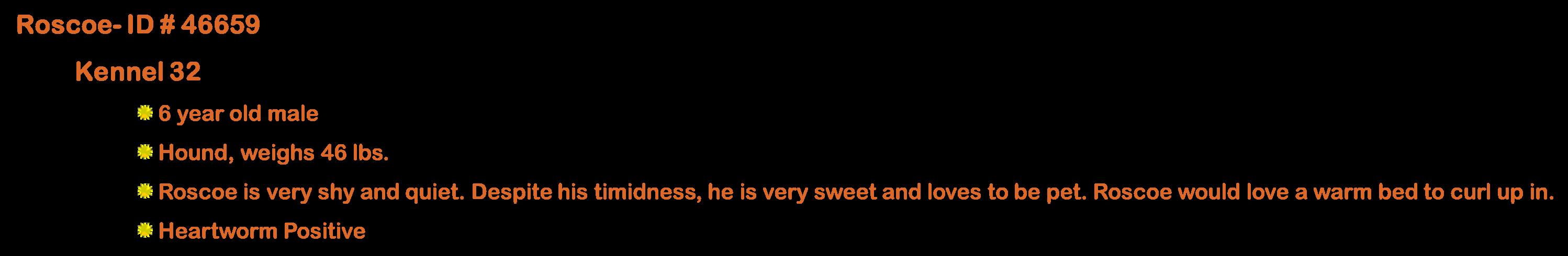 Enlarge Roscoe, a ADOPTABLE Hound in Suffolk, VA image 4/4