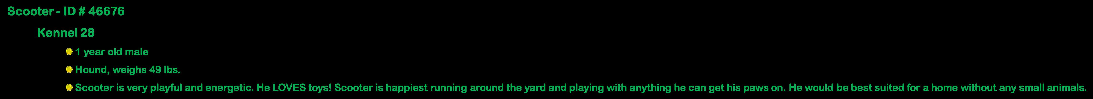 Enlarge Roscoe, a ADOPTABLE Hound in Suffolk, VA image 2/4