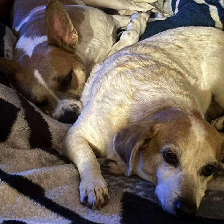 Kenny — thumbnail 6