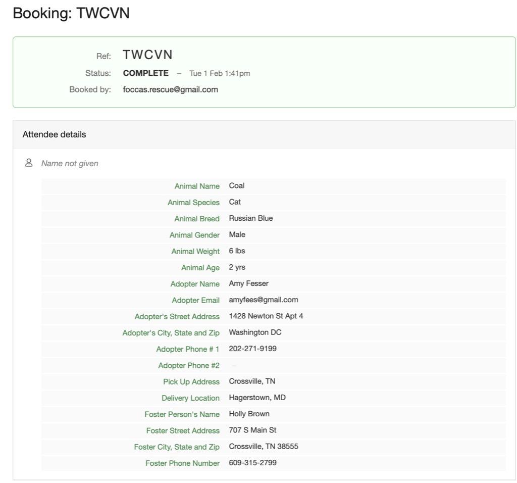 Enlarge Coal, a Adopted Russian Blue in Crossville, TN image 2/2