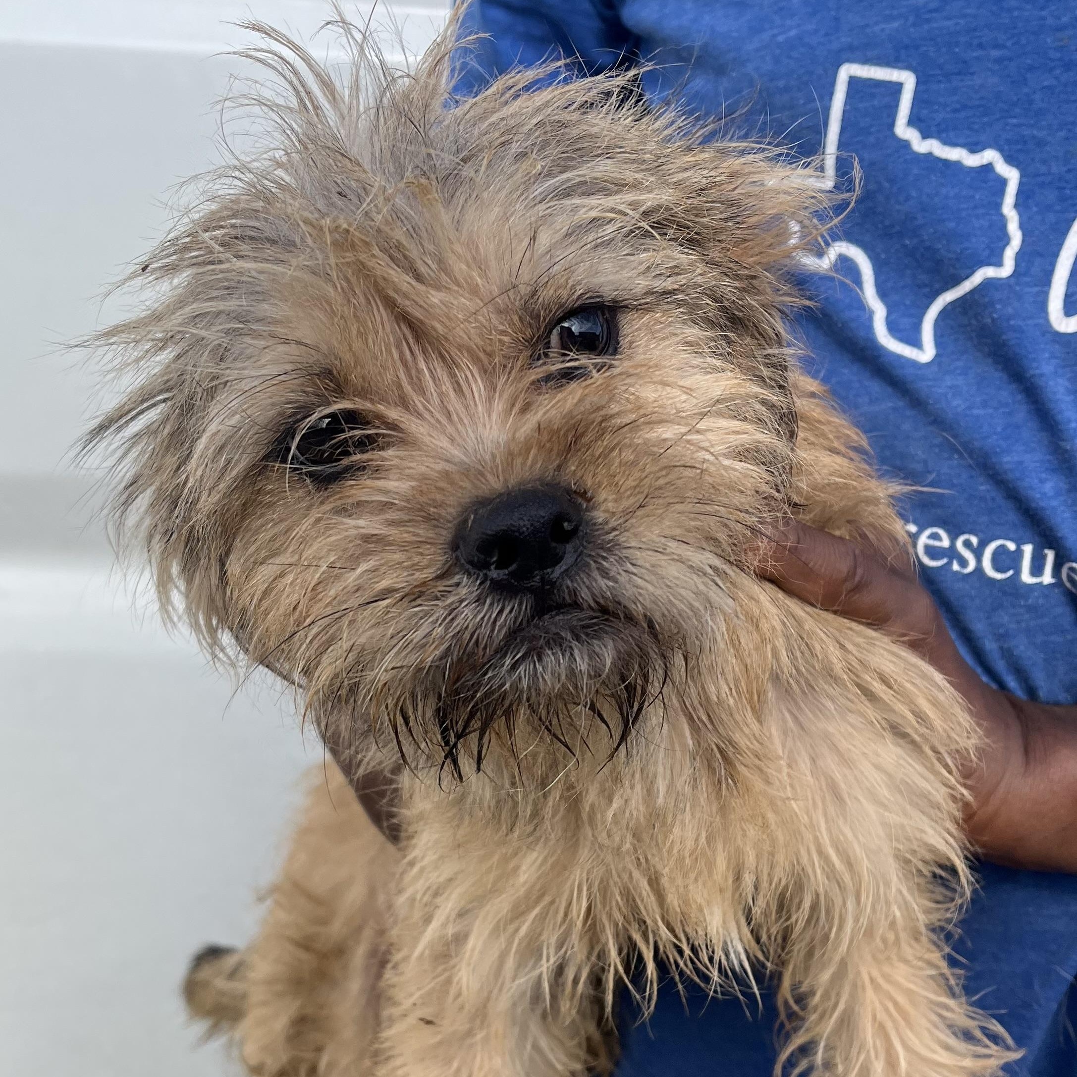 Ragsdale - Local August 22-24, Young Male unknown