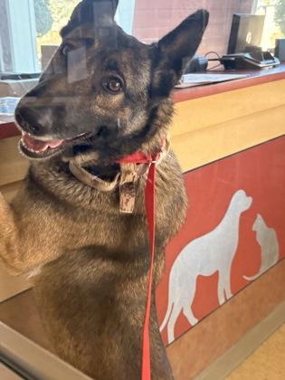 Chiska — thumbnail 3