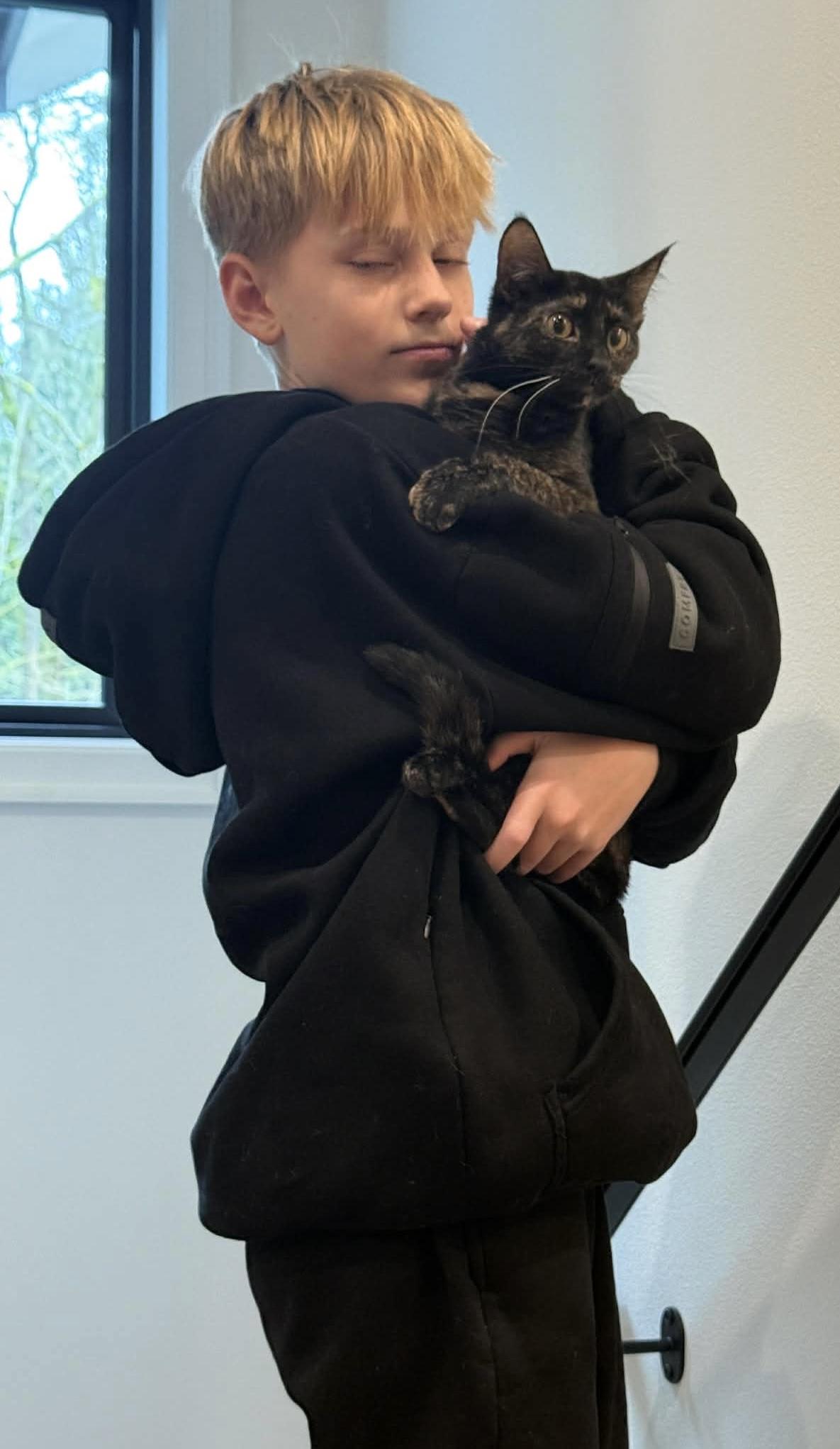 Enlarge Joy, an adopted Tortoiseshell in Woodinville, WA image 4/6