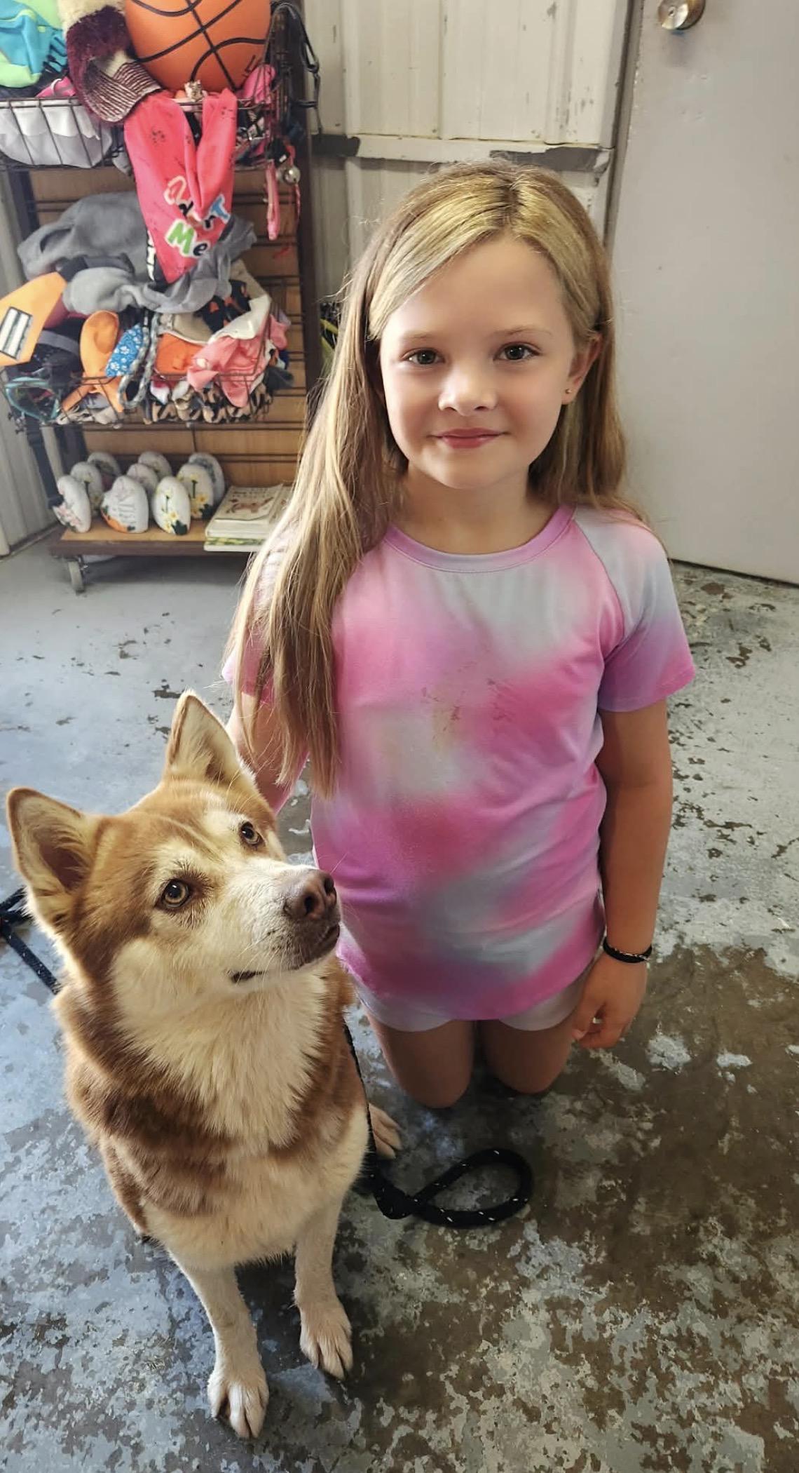 Maple, a ADOPTABLE Husky in Hales corners, WI image 3/5
