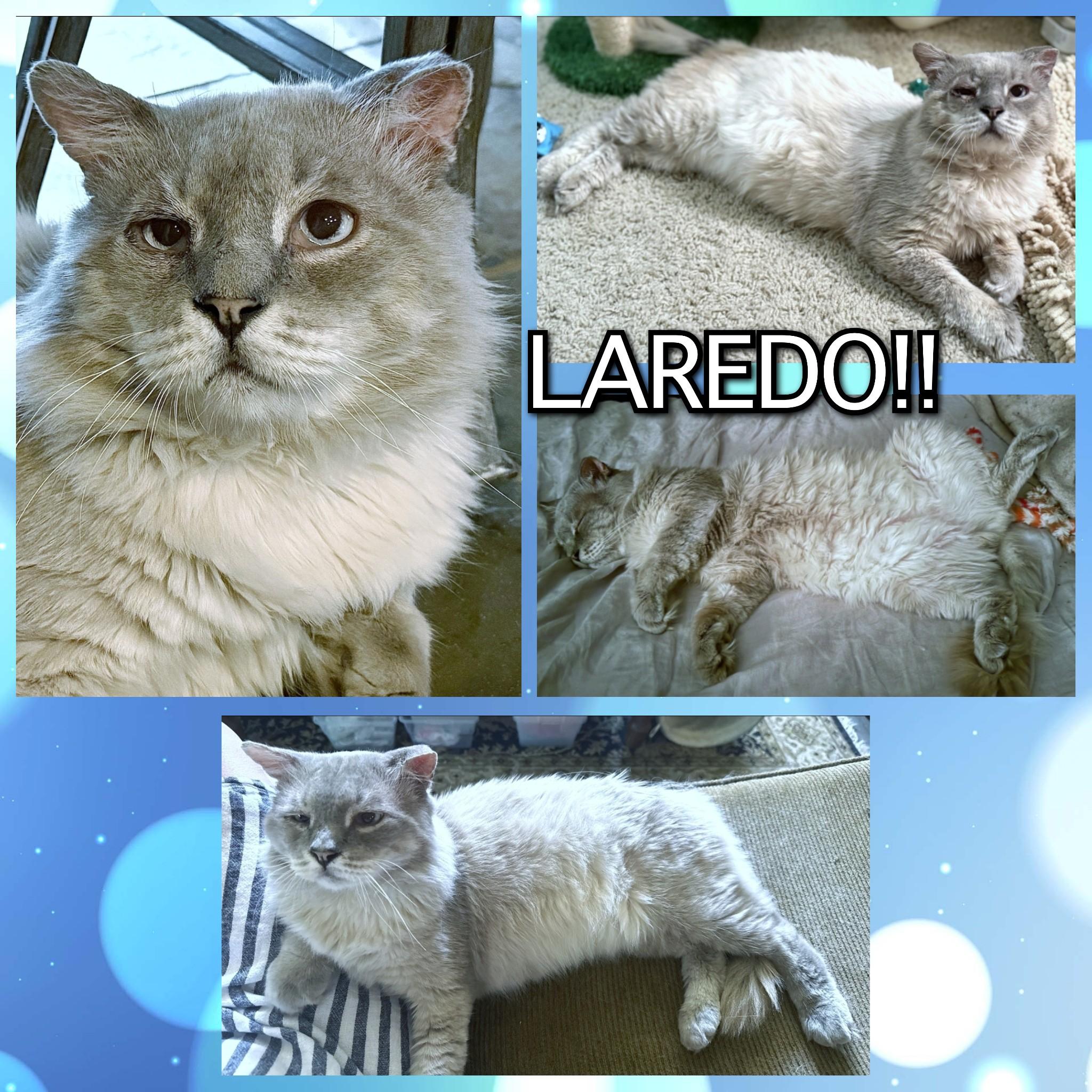 Laredo