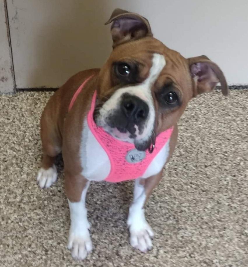 Jalene — thumbnail 2