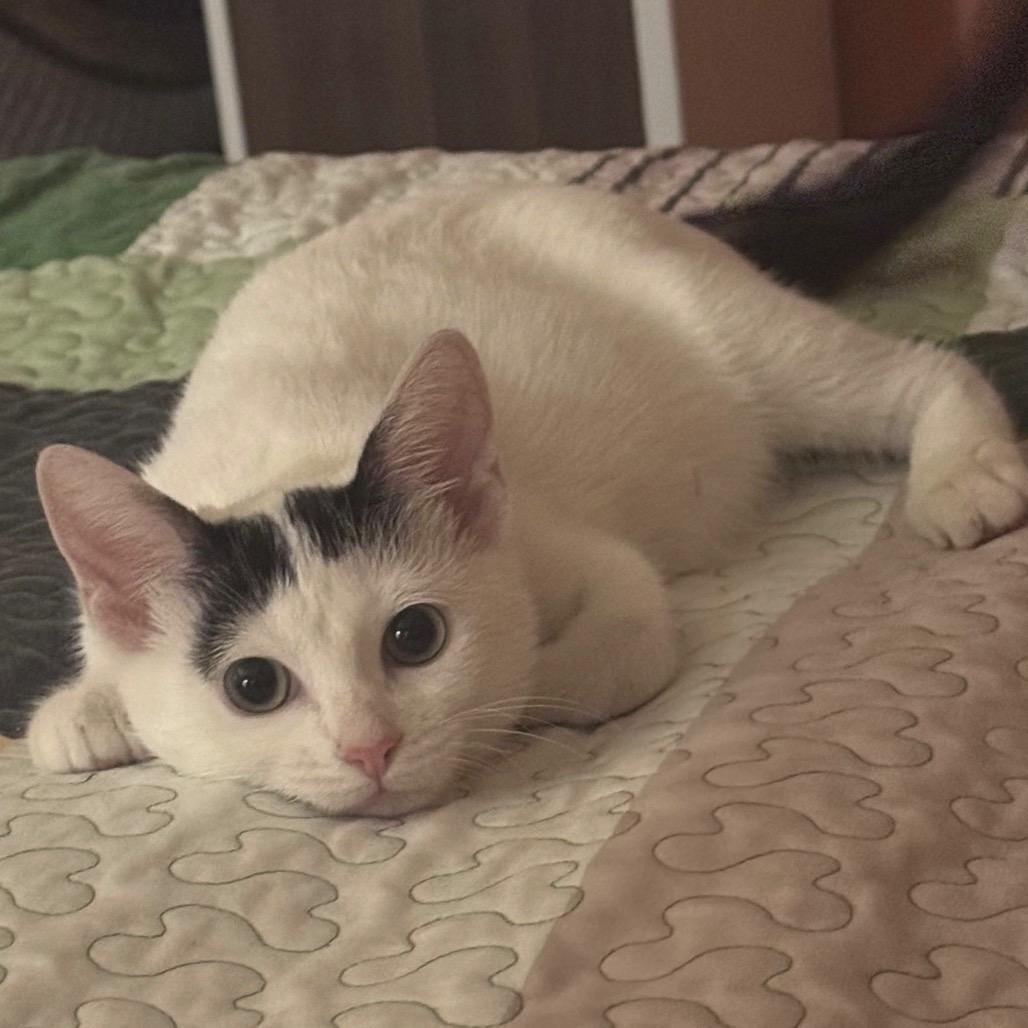 Lexie — thumbnail 2