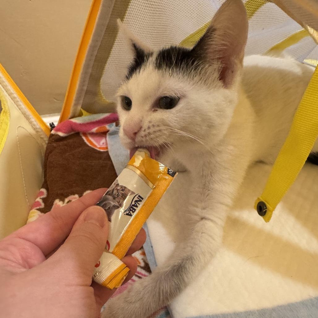 Lexie — thumbnail 3