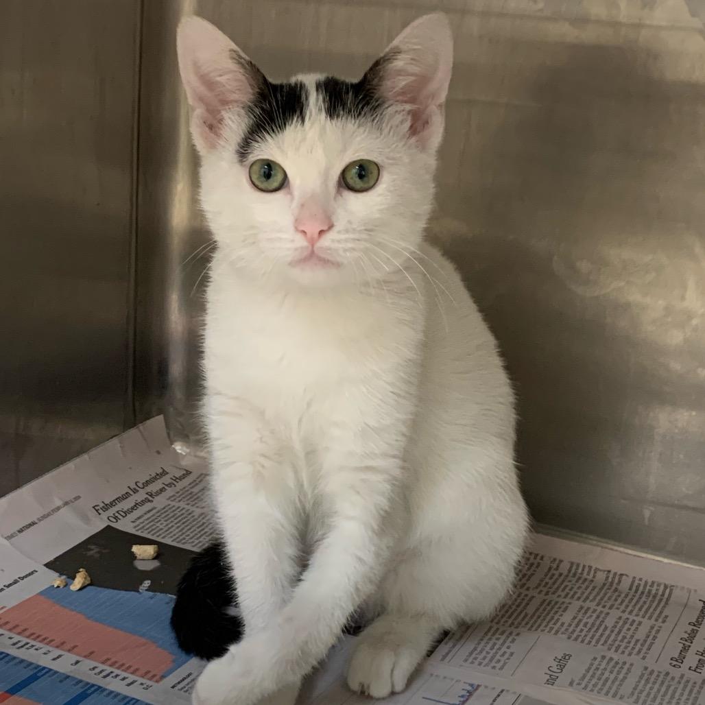 Lexie — thumbnail 4